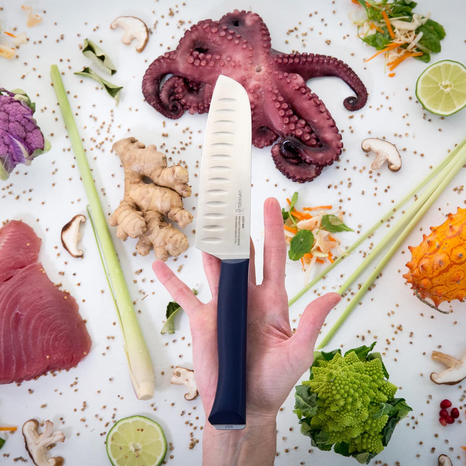 opinel-intempora-ii-santoku-17-cm-klinge-pom-griff-rostfrei image 8