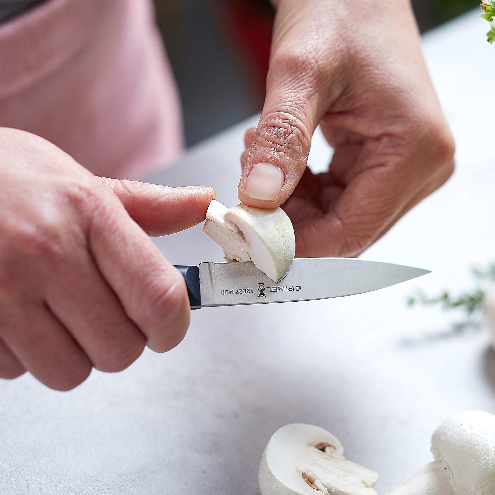 opinel-intempora-ii-gem-semesser-vielseitiges-allzweckmesser-mit-12c27m-stahlkli image 6
