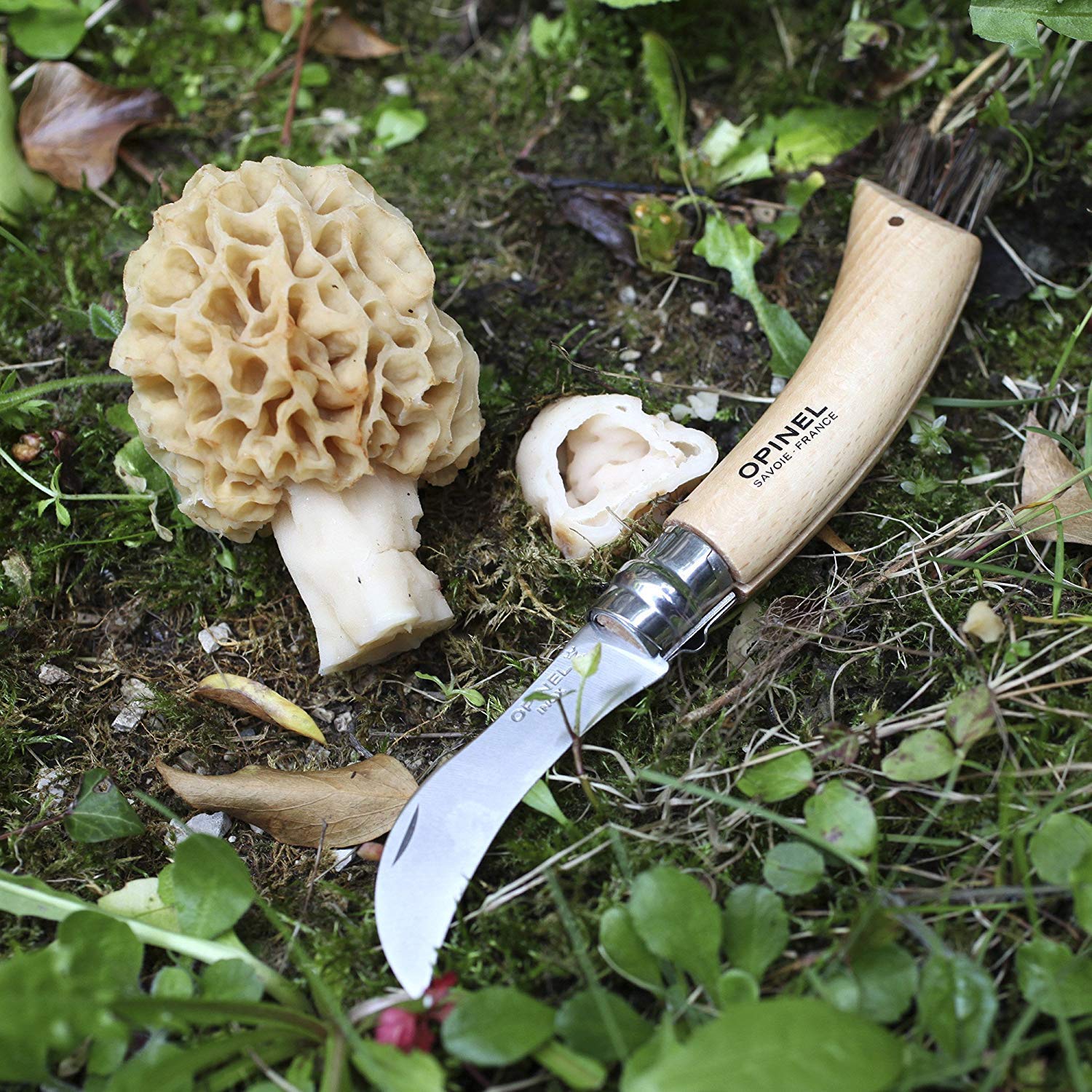 opinel-pilzmesser-n-8-gebogene-klinge-sandvik-stahl-eichenholzgriff-wildschweinb image 6