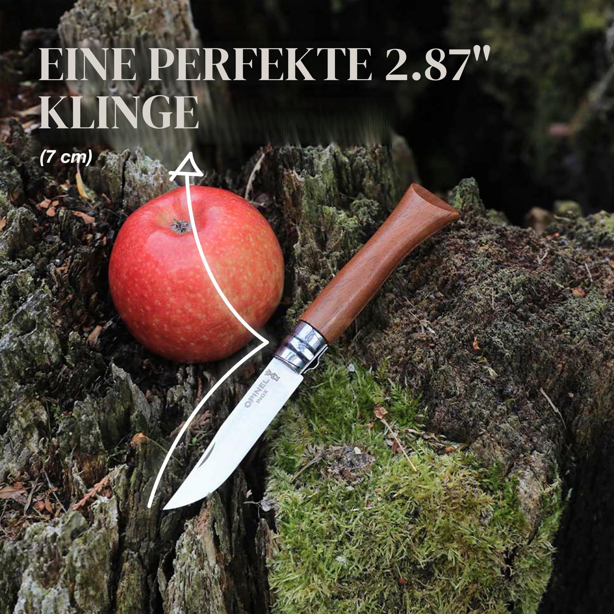 opinel-inox-lux-walnuss-messer image 3