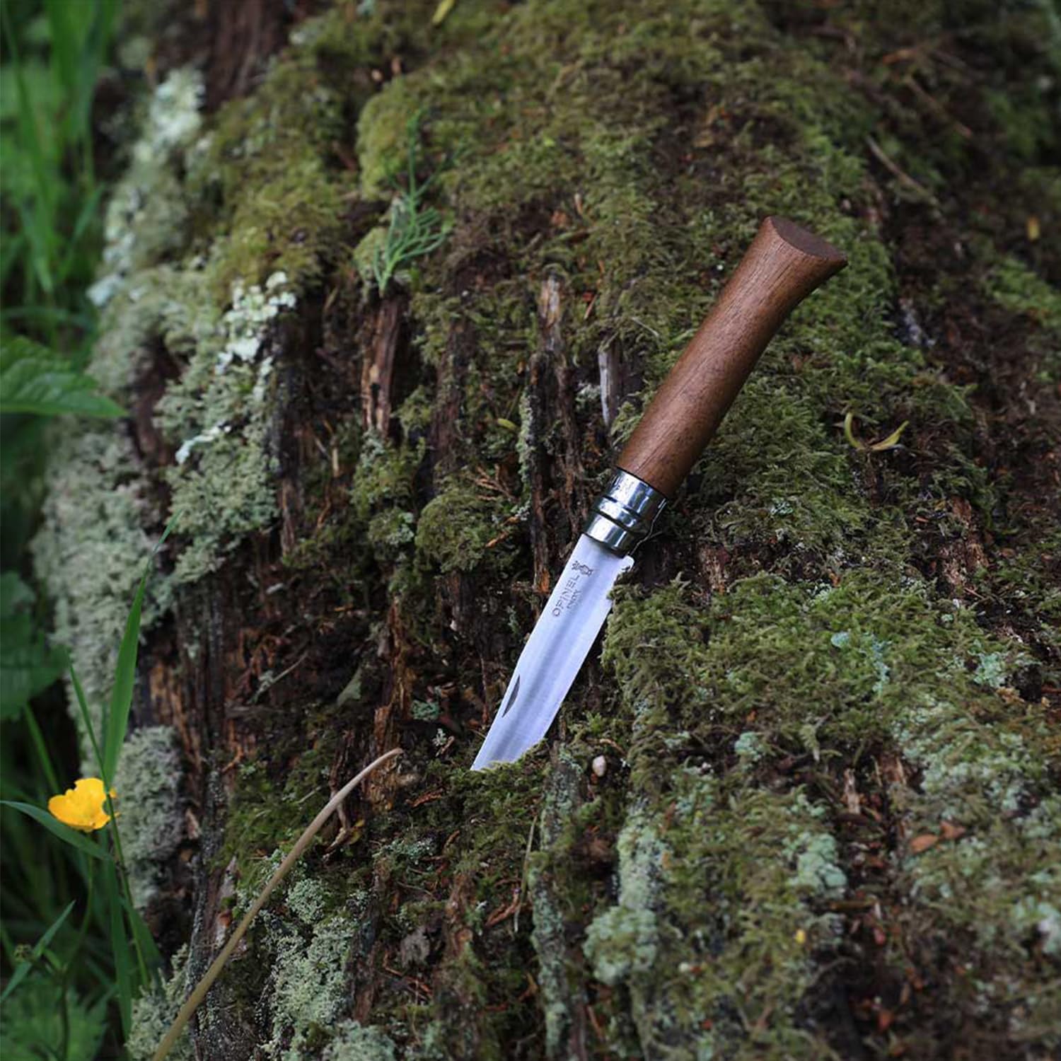 opinel-inox-lux-walnuss-messer image 6