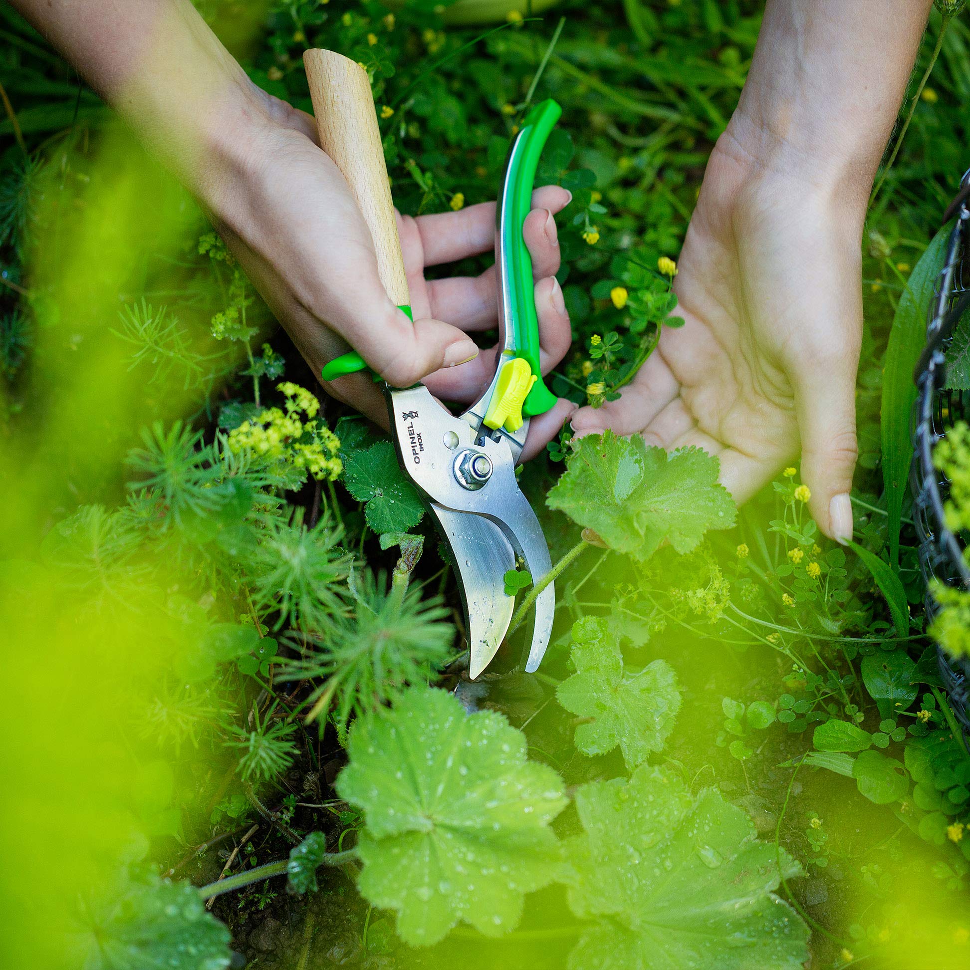 opinel-gartenschere-vielseitige-gartenschere-mit-edelstahlklinge-3-stufiger-verr image 7