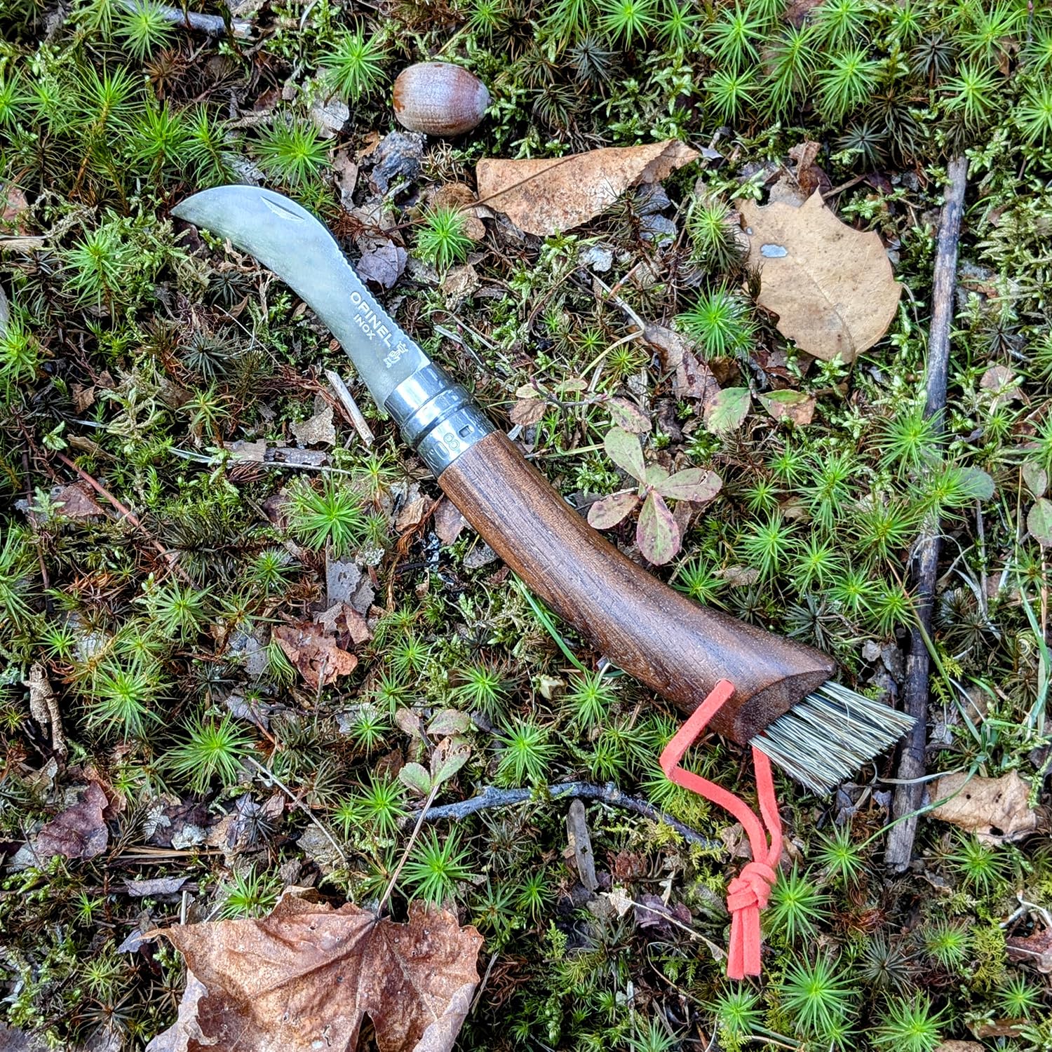 opinel-nr-08-pilzmesser-mit-buchenholzgriff-gebogene-sandvik-klinge-integrierte- image 5