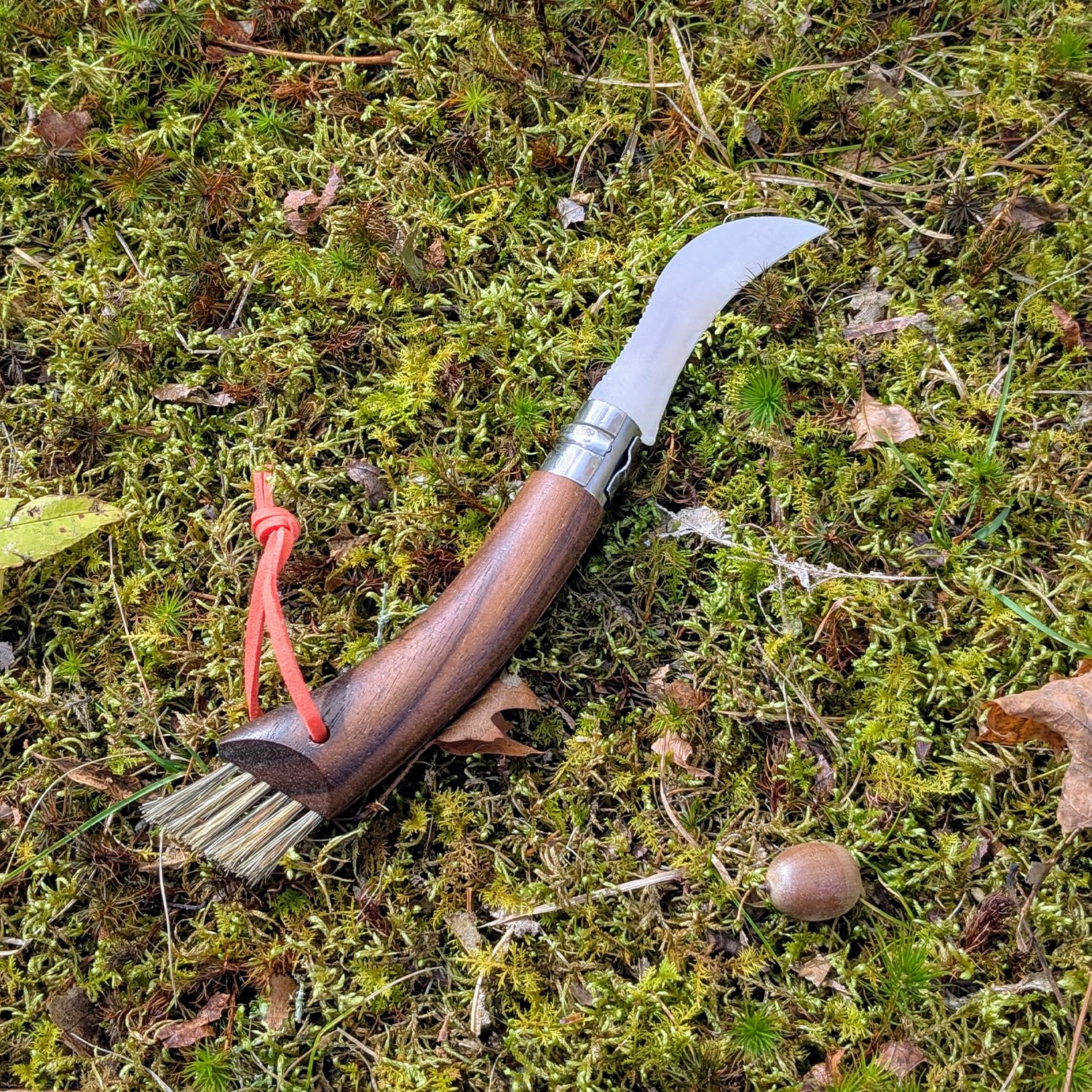 opinel-nr-08-pilzmesser-mit-buchenholzgriff-gebogene-sandvik-klinge-integrierte- image 6